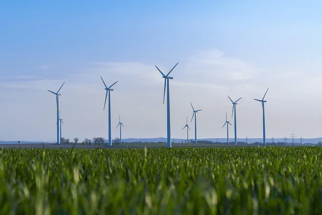 electricity, ecologically, environmentally friendly, green, wind power, renewable, energy, windmill, wind turbine, field, sustainability, sustainable, sustainability, sustainability, sustainability, sustainability, sustainability, sustainable. Chi deve fare la rendicontazione di sostenibilità: soglie e requisiti