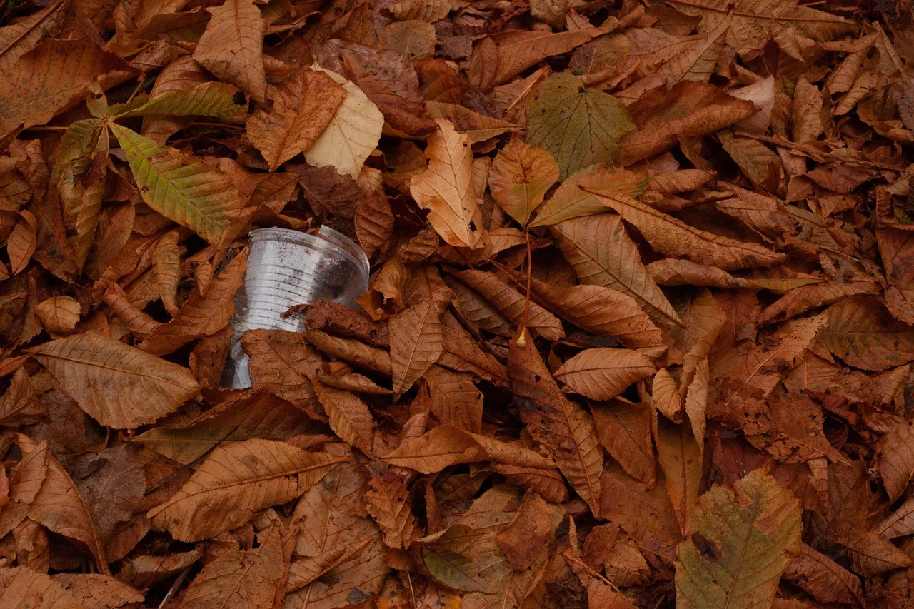 plastic, natura, plastic cup, fogliame, packaging waste, take away, garbage, waste